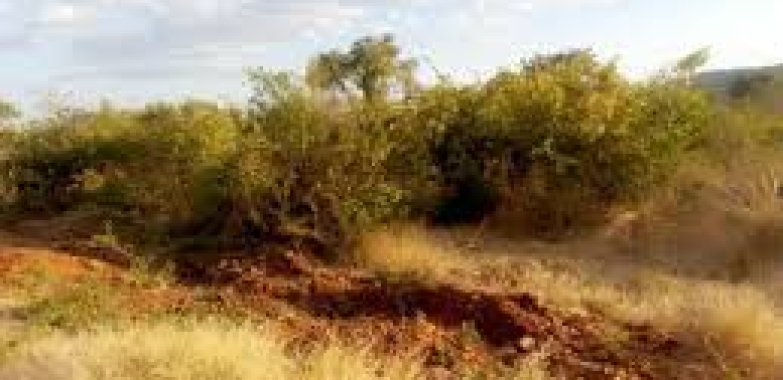 Kwekwe Plots for sale
